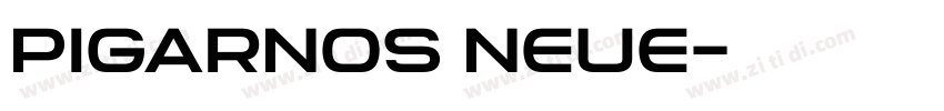 PIGARNOS NEUE字体转换 PIGARNOS NEUE字体转换